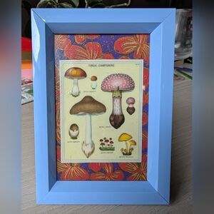 Mushroom Collage, Lilac frame
